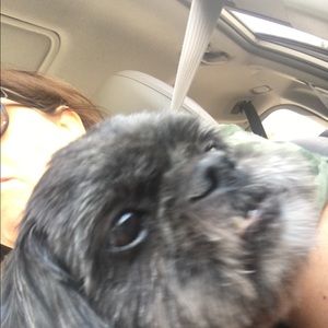 Meet your Posher, Marsha